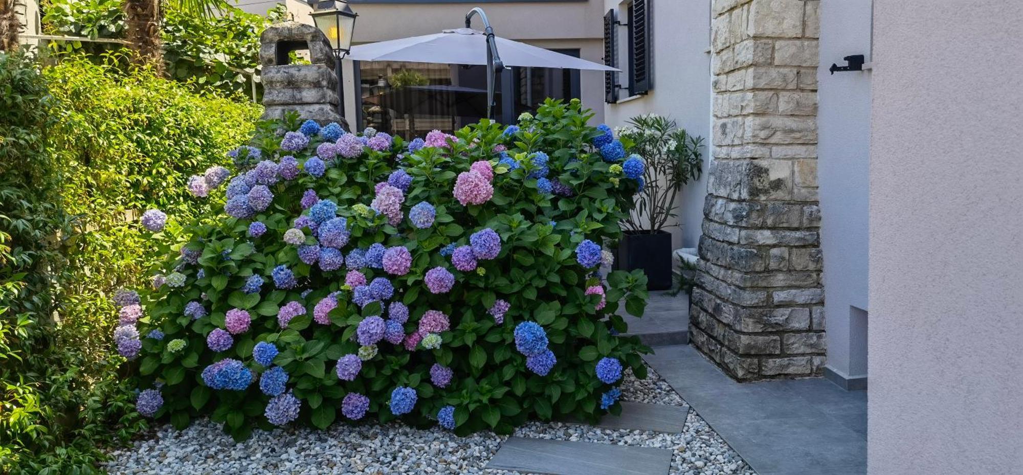 Stay In The Very Heart Of Porec - 50M To The Beach Εξωτερικό φωτογραφία