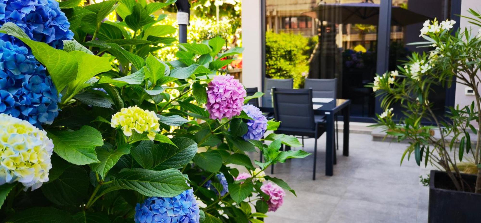 Stay In The Very Heart Of Porec - 50M To The Beach Εξωτερικό φωτογραφία